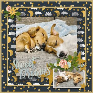 Sweet Dreams