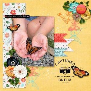 Little Butterfly