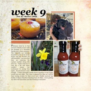 Week 9 - Feb 27 - March 5