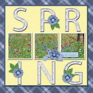 SPRING