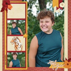 Year of the Tiger