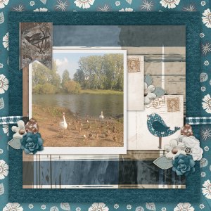 Ducks
