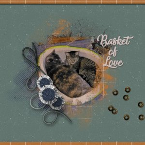 Basket of Love