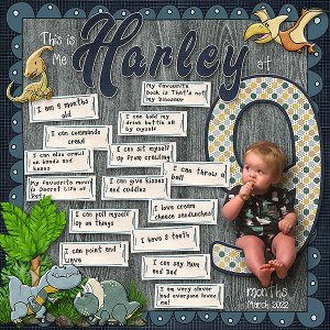 This is Me Harley at 9 months
