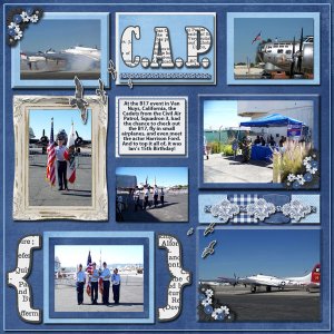 2011 C.A.P.