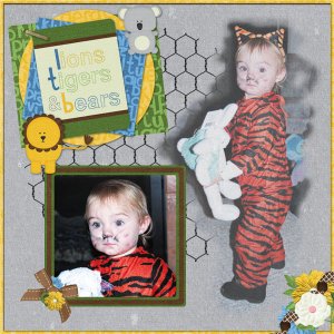 Lions, Tigers, and Bears