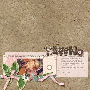 076-05-12-YawnByCFALBRO