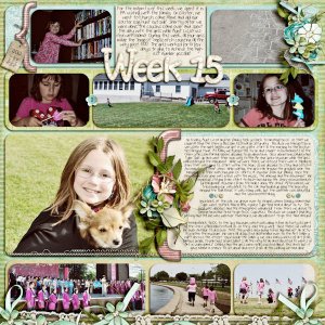 Week 15 (April 8 - April 14)