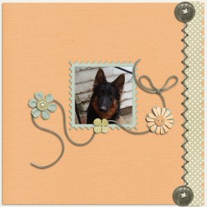Momma's Handsome Shepherd