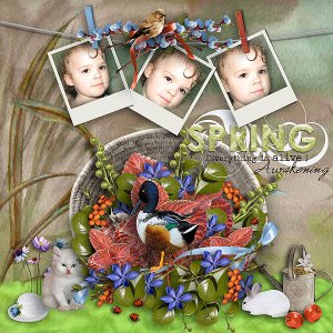 pjk-Spring Awakening