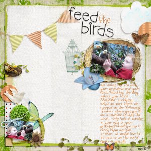 Feed the Birds