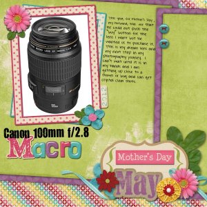 My Dream Mother's Day Present