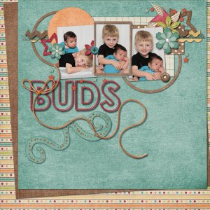Buds