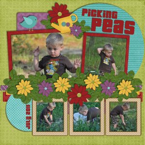 Picking +amp; Shelling Peas