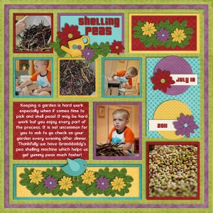 Picking +amp; Shelling Peas