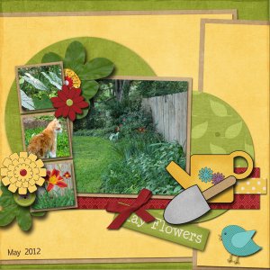 May Flowers