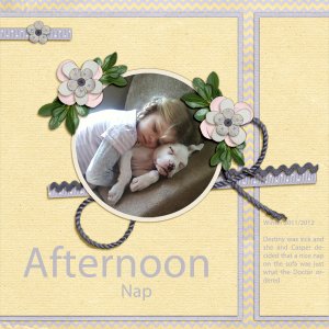 Afternoon Nap