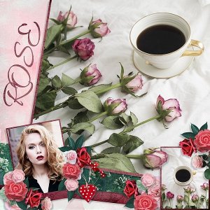 A Rose Is A Rose Is A Rose