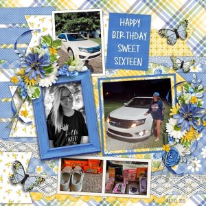 Happy Birthday-pg2