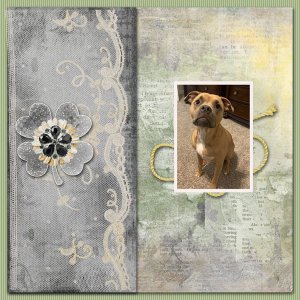 Use-It-All Challenge March 2022