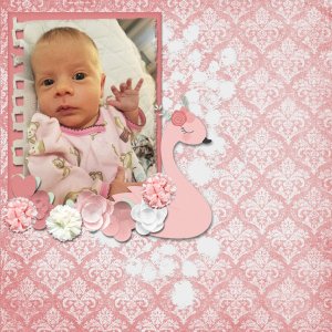 Pretty In Pink