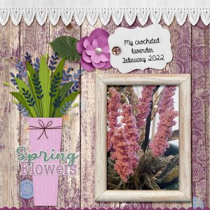 Crocheted Lavender