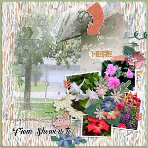 From Showers to Flowers