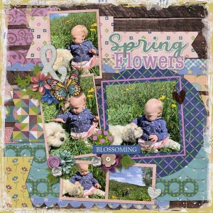 Spring Flowers