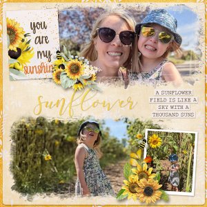 Field of sunflowers