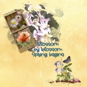 Spring