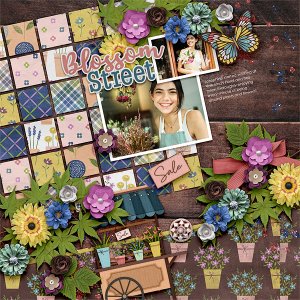 Blossom Street