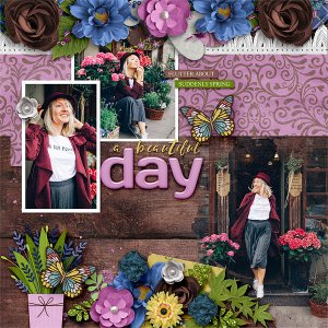 A Beautiful Day