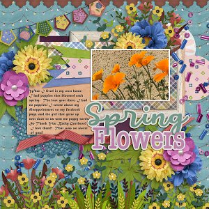 Spring Flowers