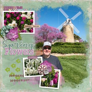 Spring Flowers