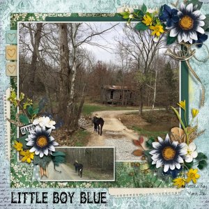 Little Boy Blue