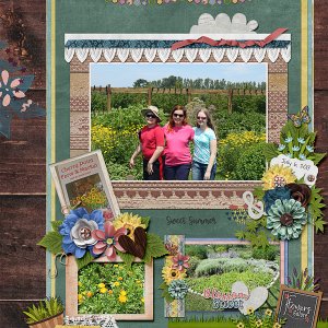 Sweet Summer
