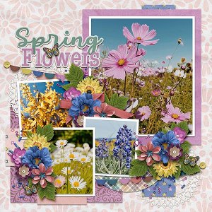 spring flowers