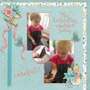 Butterfly Day