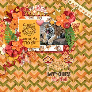 Tiger Year