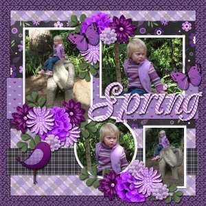 Colour my life purple
