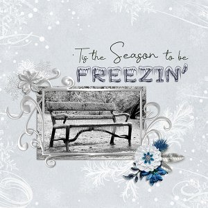 Frozen Bench