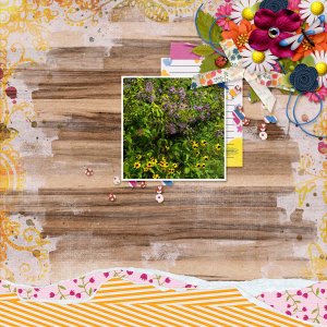 Wildflowers