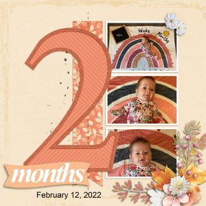W_2_Months