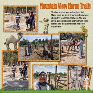 Mountain View Horse Trails