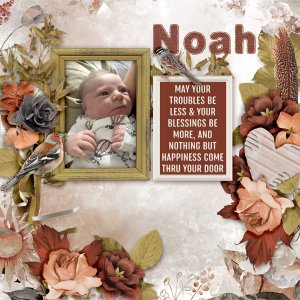 Noah2