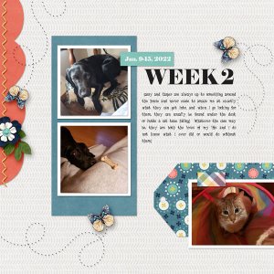 Week 2