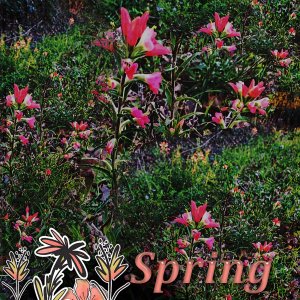 March-2022-JUMPSTART-YOUR-LAYOUTS-with-Jumpstart-Designs