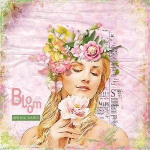 Bloom