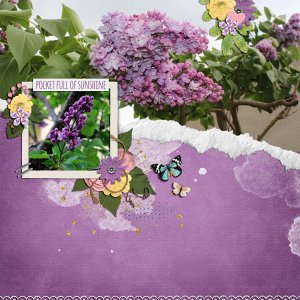lilac