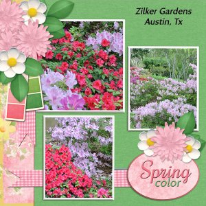 Spring color